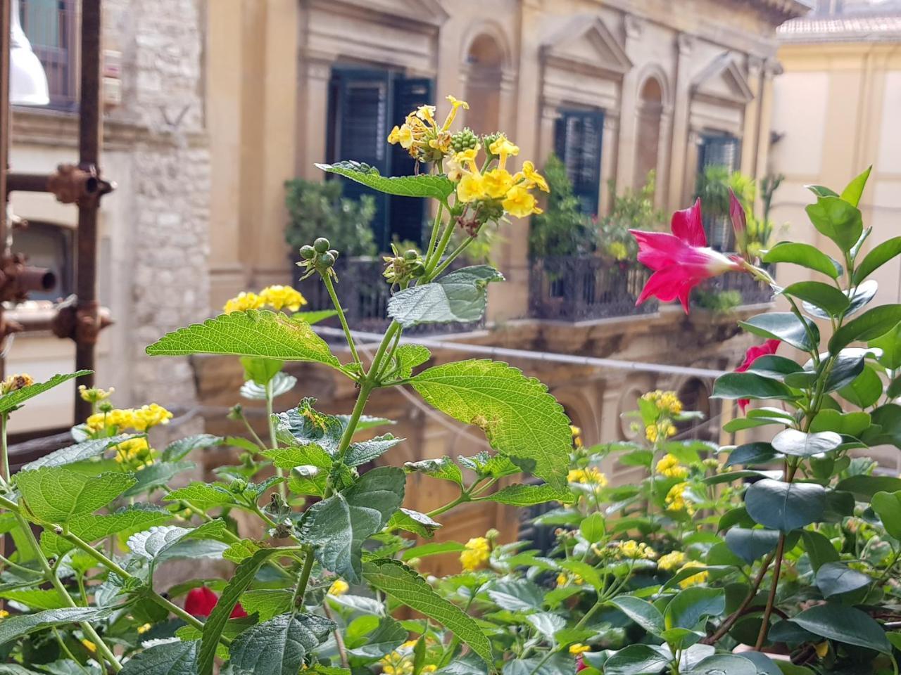 Casa Coccinella Bed & Breakfast กัลตานิสเซตตา ภายนอก รูปภาพ